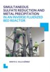 Image for Simultaneous Sulfate Reduction and Metal Precipitation in an Inverse Fluidized Bed Reactor : UNESCO-IHE PhD Thesis