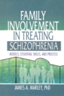 Image for Family Involvement in Treating Schizophrenia