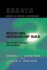 Image for Reducing Intergroup Bias : The Common Ingroup Identity Model