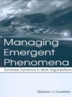 Image for Managing Emergent Phenomena : Nonlinear Dynamics in Work Organizations
