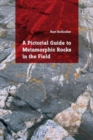 Image for A pictorial guide to metamorphic rocks in the field