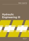 Image for Hydraulic Engineering III