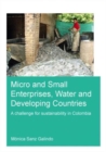 Image for Micro and Small Enterprises, Water and Developing Countries