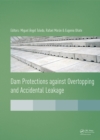Image for Dam Protections against Overtopping and Accidental Leakage
