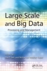 Image for Large scale and big data  : processing and management