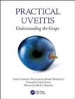 Image for Practical uveitis  : understanding the grape