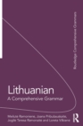 Image for Lithuanian: A Comprehensive Grammar