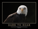 Image for Dare to Soar Poster