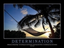 Image for Determination Poster