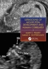 Image for Ultrasound of Mouse Fetal Development and Human Correlates