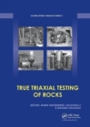 Image for True Triaxial Testing of Rocks