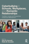 Image for Cyberbullying in schools, workplaces, and romantic relationships  : the many lenses and perspectives of electronic mistreatment