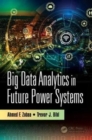 Image for Big Data Analytics in Future Power Systems