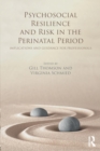 Image for Psychosocial resilience and risk in the perinatal period  : implications and guidance for professionals