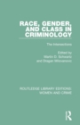 Image for Race, gender, and class in criminology  : the intersections