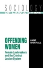 Image for Offending Women : Female Lawbreakers and the Criminal Justice System