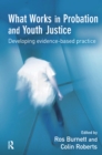 Image for What works in probation and youth justice  : developing evidence-based practice
