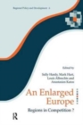 Image for An Enlarged Europe