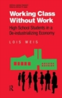 Image for Working Class Without Work