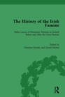 Image for The history of the Irish famineVolume 3,: The Irish Famine migration narratives :