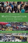Image for Introducing multilingualism  : a social approach