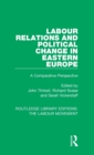 Image for Labour Relations and Political Change in Eastern Europe