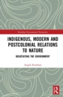 Image for Indigenous, modern and postcolonial relations to nature  : negotiating the environment