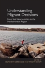 Image for Understanding migrant decisions  : from sub-Saharan Africa to the Mediterranean region