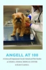 Image for Angell at 100