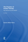 Image for The Practice of Family Therapy
