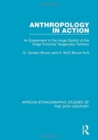 Image for Anthropology in Action