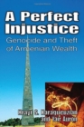 Image for A Perfect Injustice : Genocide and Theft of Armenian Wealth