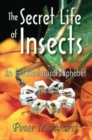 Image for The Secret Life of Insects
