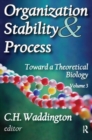 Image for Organization Stability and Process