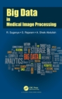 Image for Big Data in Medical Image Processing