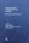 Image for Psychoanalytic Perspectives on Passion