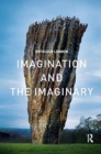 Image for Imagination and the Imaginary