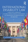 Image for International disability law  : a practical approach to the United Nations Convention on the Rights of Persons with Disabilities