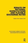Image for Essays on Rational Expectations and Flexible Exchange Rates
