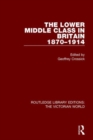 Image for The lower middle class in Britain 1870-1914