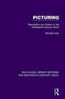 Image for Picturing