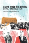 Image for Egypt after the Spring  : revolt and reaction