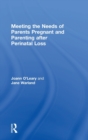 Image for Meeting the Needs of Parents Pregnant and Parenting After Perinatal Loss