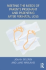 Image for Meeting the Needs of Parents Pregnant and Parenting After Perinatal Loss