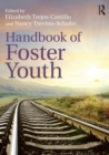 Image for Handbook of Foster Youth