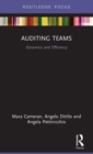 Image for Auditing Teams
