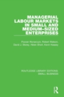 Image for Managerial Labour Markets in Small and Medium-Sized Enterprises