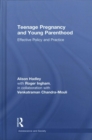 Image for Teenage Pregnancy and Young Parenthood
