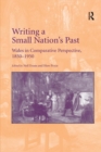 Image for Writing a small nation&#39;s past  : Wales in comparative perspective, 1850-1950