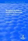 Image for Woodfuel markets in developing countries  : a case study of Tanzania